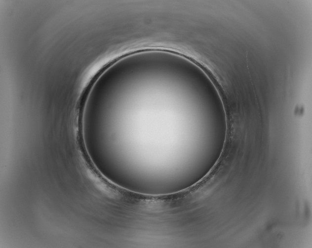 X0000091071511200708061251
