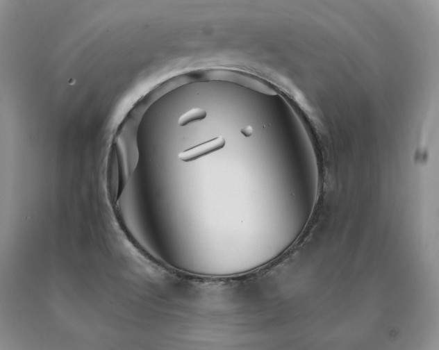 X0000091071512200708061251