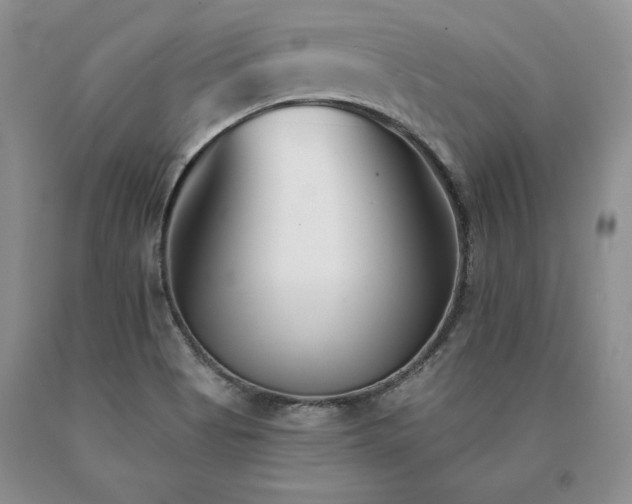 X0000091071513200708061252
