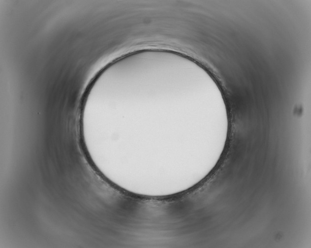 X0000091071514200708061252