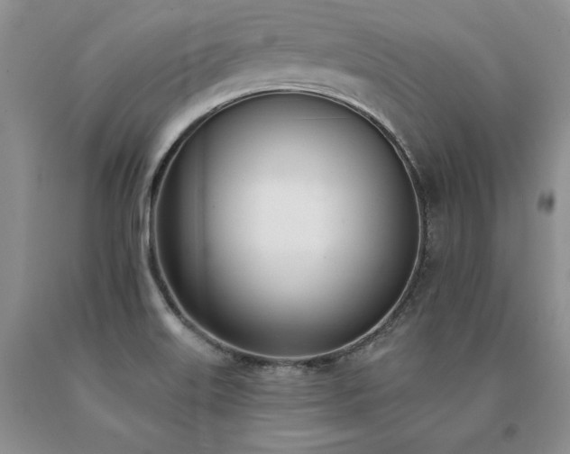 X0000091071515200708061252