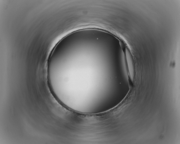 X0000091071516200708061252