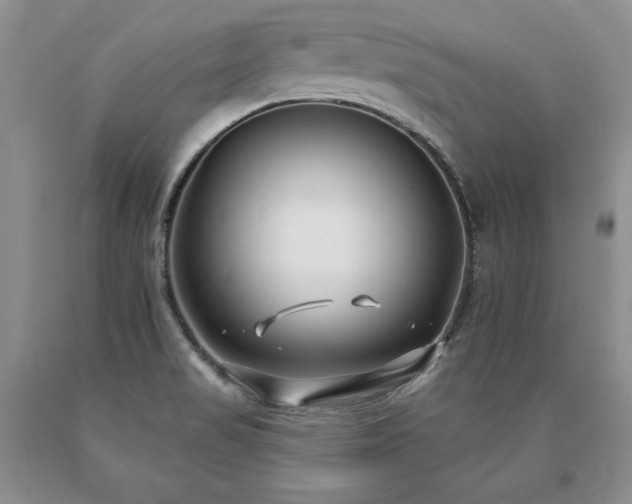 X0000091071517200708061252