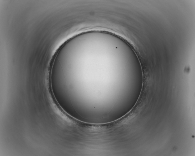 X0000091071518200708061252