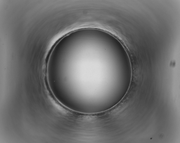 X0000091071519200708061252