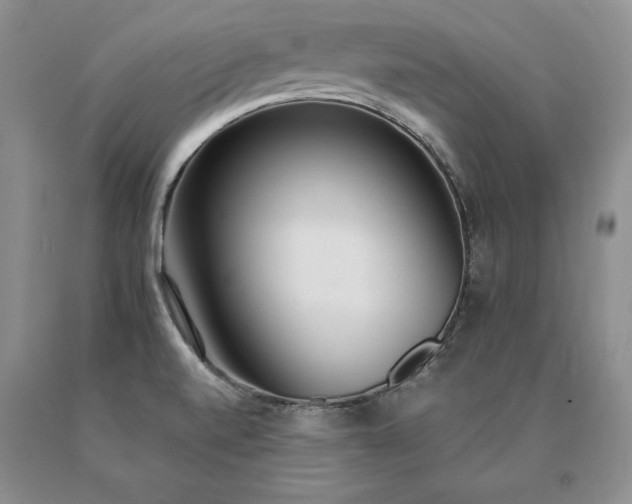 X0000091071520200708061252
