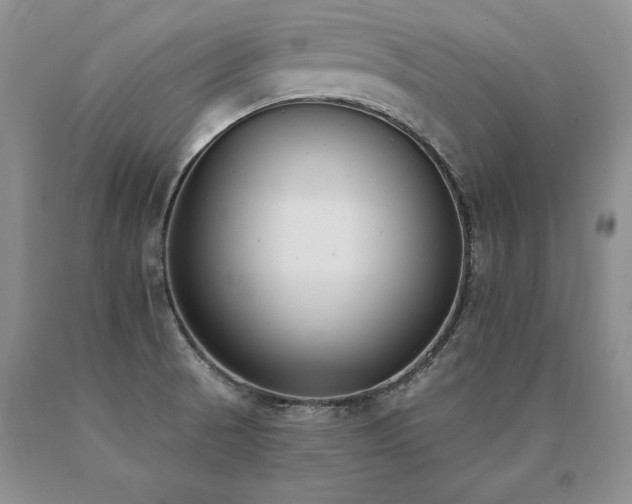 X0000091071521200708061252