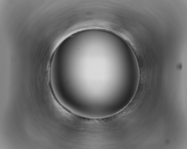 X0000091071524200708061252