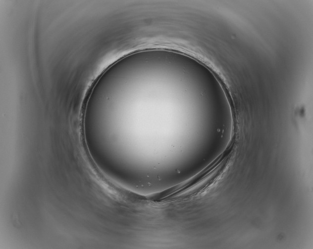 X0000091071525200708061252