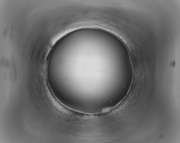 X0000091071526200708061252