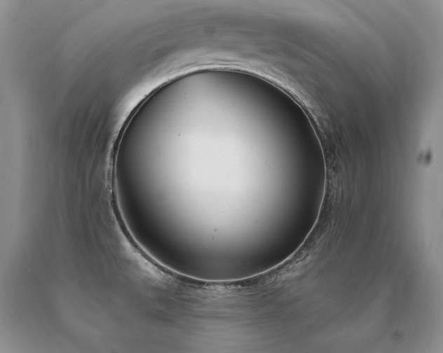 X0000091071527200708061252
