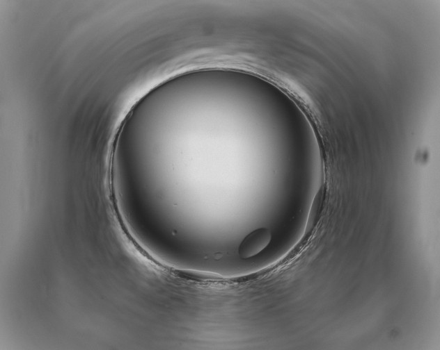 X0000091071528200708061252