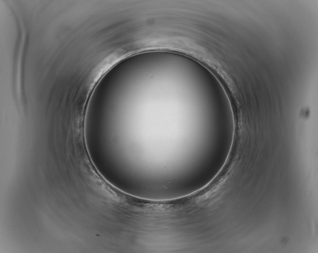 X0000091071529200708061252