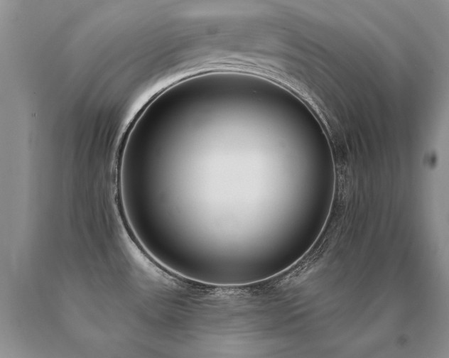 X0000091071531200708061252
