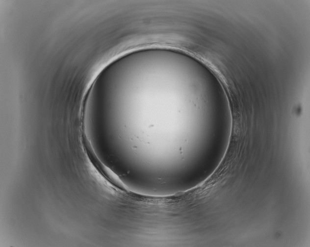 X0000091071532200708061252
