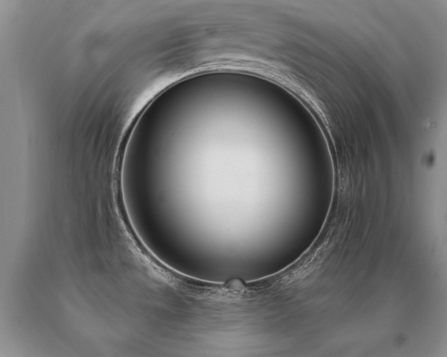 X0000091071533200708061252