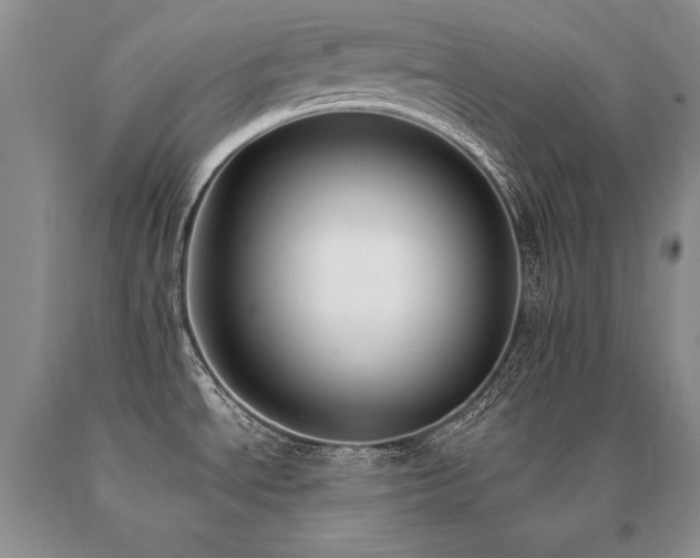 X0000091071534200708061252