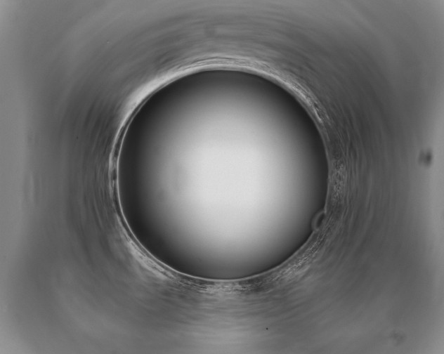 X0000091071535200708061252