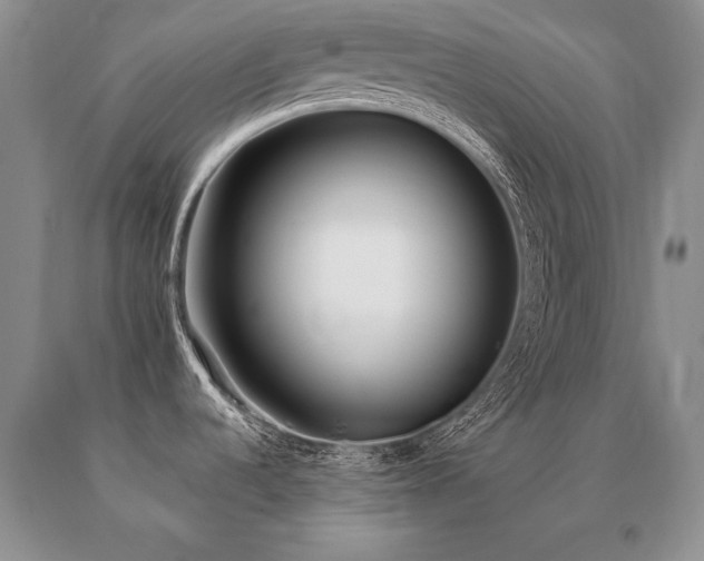 X0000091071536200708061252
