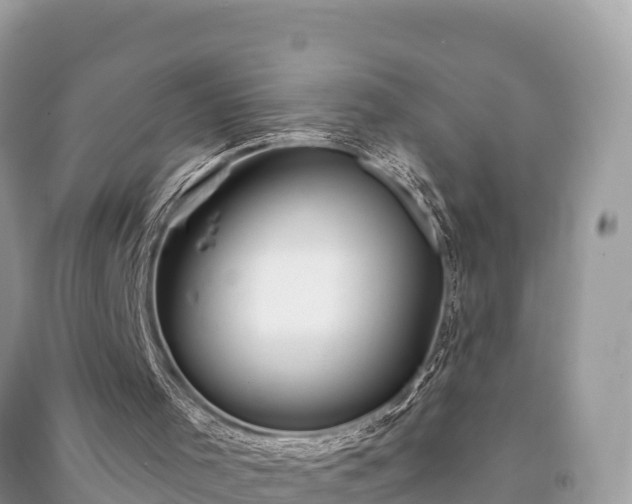 X0000091070001200708131203