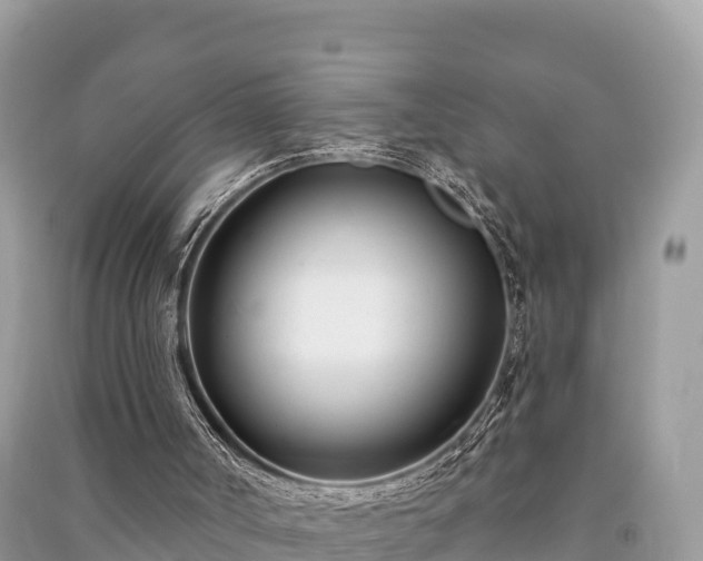 X0000091070002200708131203
