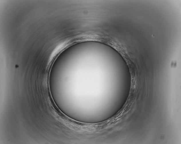 X0000091070004200708131203