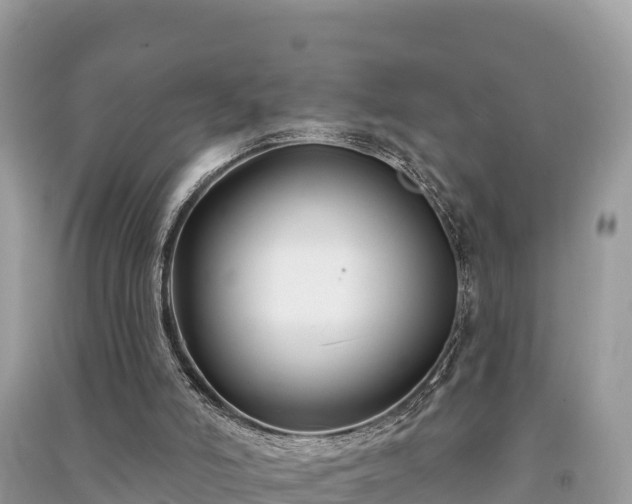 X0000091070006200708131203
