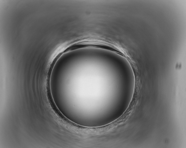 X0000091070007200708131203