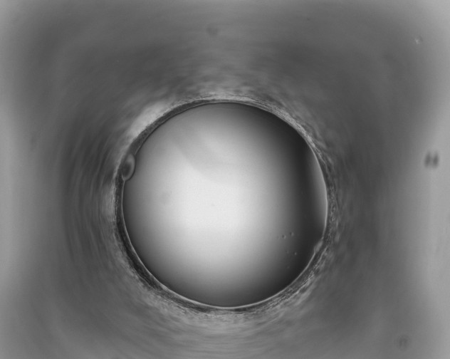 X0000091070008200708131203
