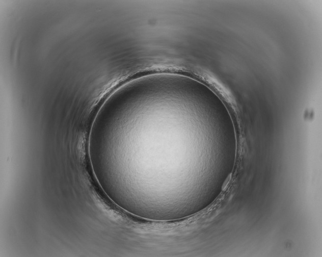 X0000091070009200708131203