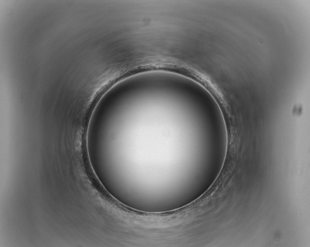 X0000091070010200708131203
