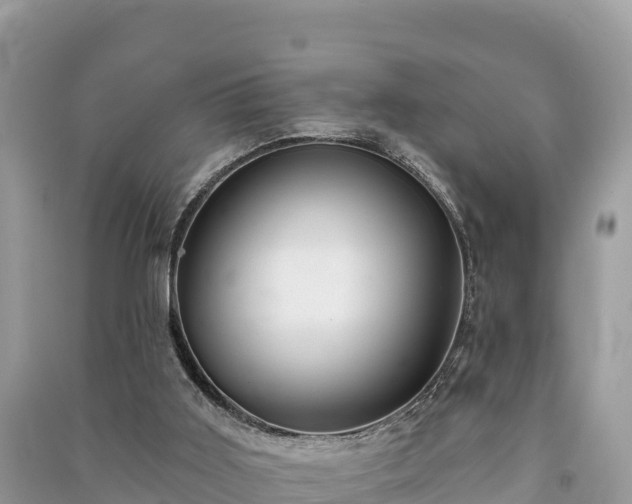 X0000091070011200708131203