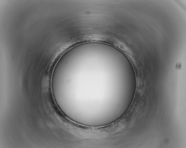 X0000091070012200708131203