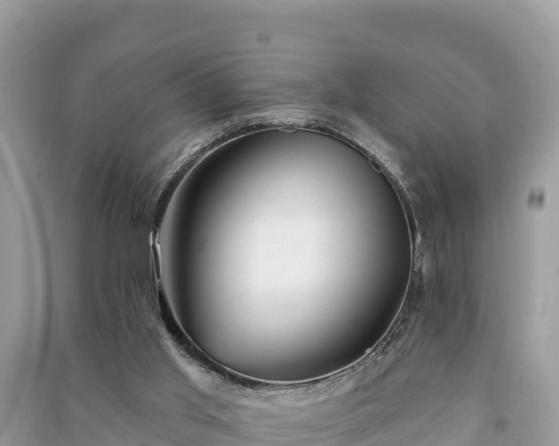 X0000091070013200708131203