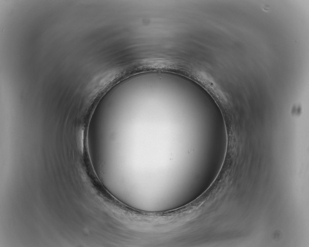 X0000091070014200708131203