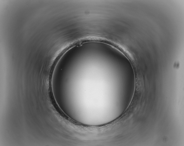 X0000091070015200708131203