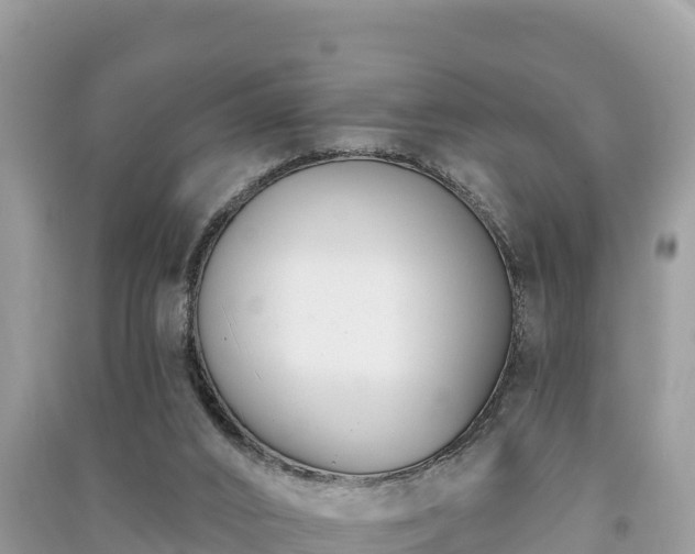 X0000091070016200708131203