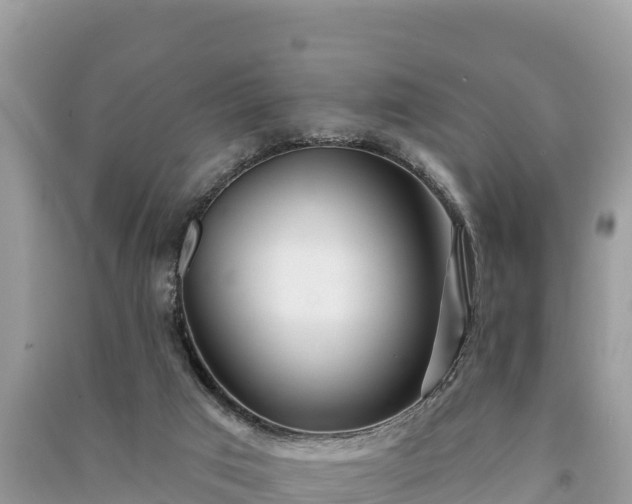 X0000091070017200708131202