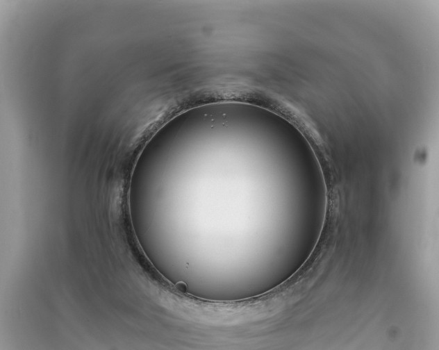 X0000091070018200708131202