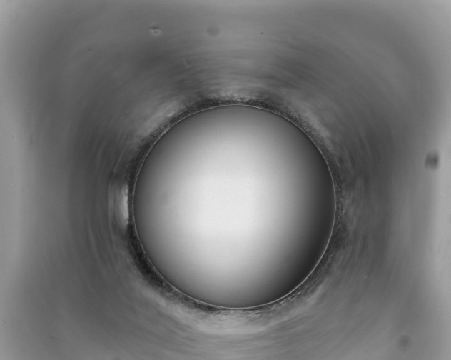 X0000091070020200708131202
