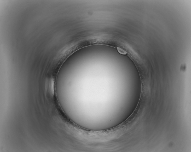 X0000091070022200708131202