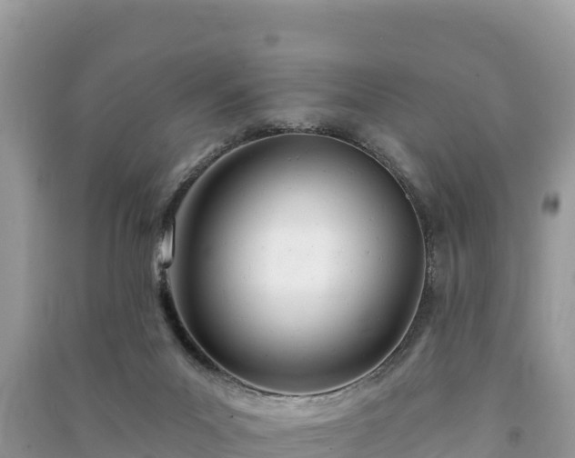 X0000091070023200708131202