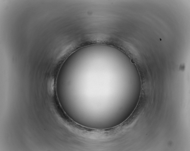 X0000091070024200708131202