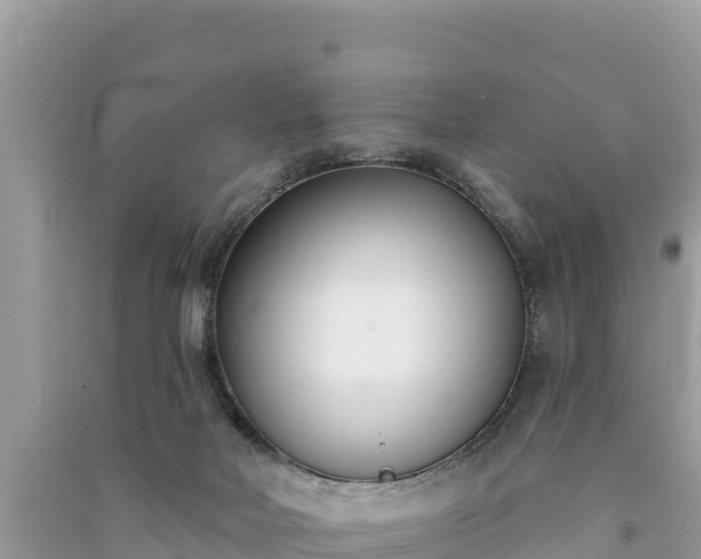 X0000091070026200708131202