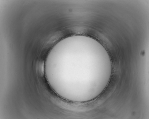 X0000091070028200708131202
