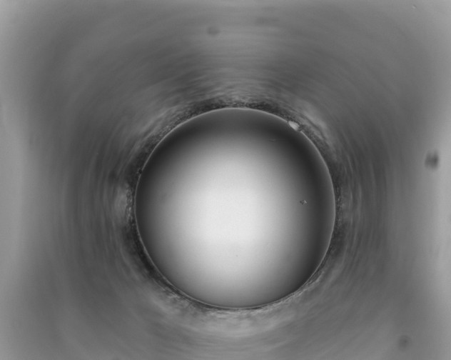 X0000091070029200708131202