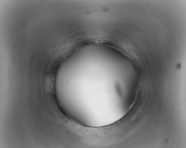 X0000091070030200708131202