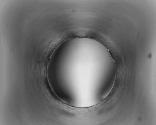 X0000091070031200708131202