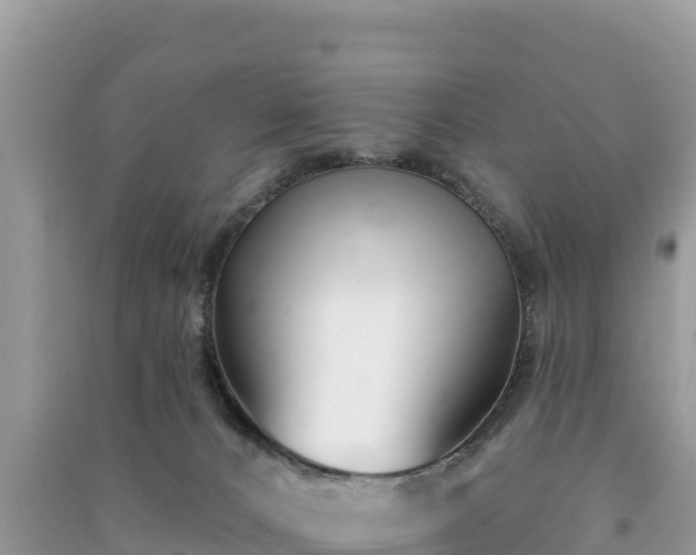 X0000091070032200708131202