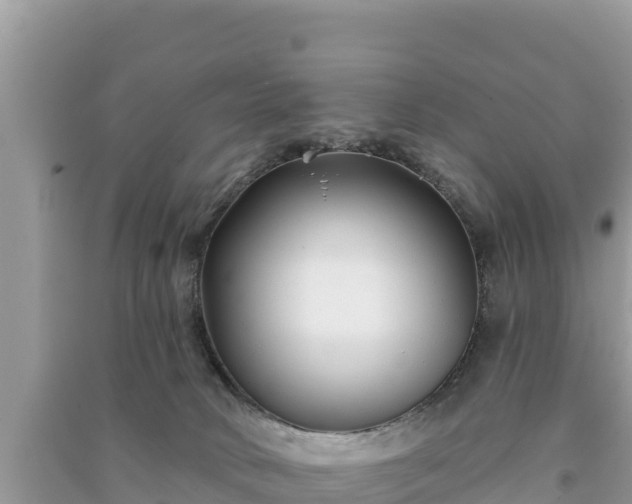 X0000091070034200708131202